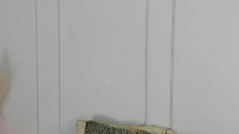 Maria Pettit online show from April 19, 10:37 am