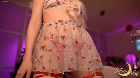 Snapshot of marylunamay chatting on December 27, 10:48 pm Mary online show from December 27, 10:48 pm