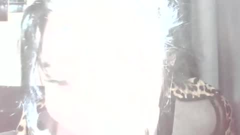 Oltereodora-lima online show from January 20, 7:25 am