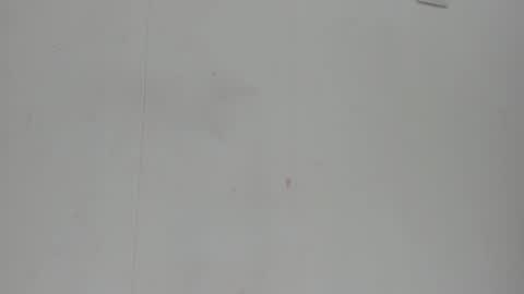 Melania online show from March 26, 4:42 pm