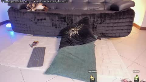 Ann online show from December 3, 2:36 am