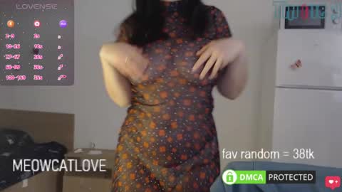 meowcatlove online show from February 8, 10:19 pm