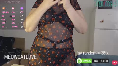 meowcatlove online show from January 29, 8:14 pm