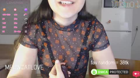 meowcatlove online show from February 26, 5:10 pm