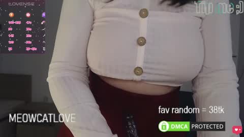 meowcatlove online show from March 8, 6:35 pm