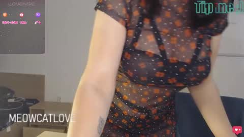 meowcatlove online show from December 4, 9:02 pm