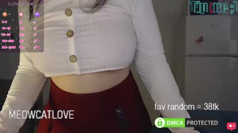 meowcatlove online show from January 21, 4:05 pm