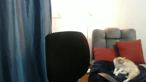 Star online show from March 24, 1:44 am