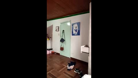 Nicol online show from January 16, 12:45 pm