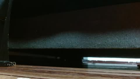 Miss samy online show from February 5, 2:05 pm