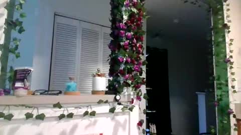 MissMona online show from April 5, 9:25 pm