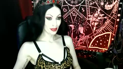 Snapshot of missmoondoll chatting on December 8, 4:35 am MissMoonDoll online show from December 8, 4:35 am
