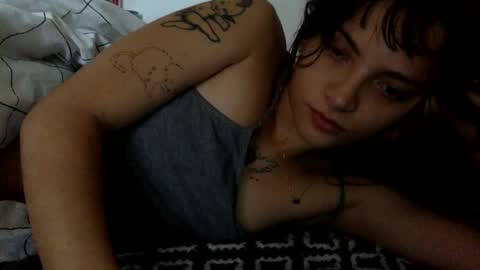   online show from February 10, 12:39 pm