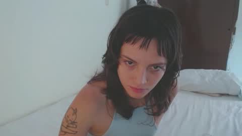   online show from November 6, 4:24 pm