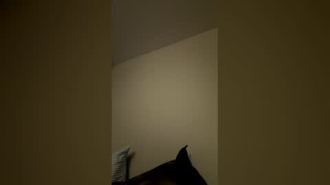 mysticalsex online show from February 5, 7:33 am