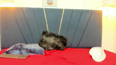 naomi_x0 online show from February 11, 2:07 pm