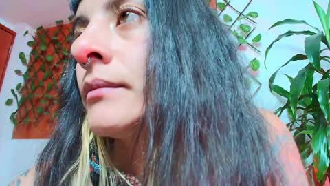 Kitten online show from April 7, 5:37 pm