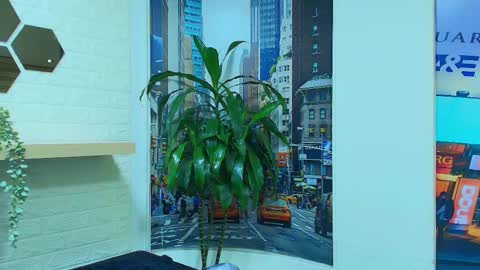 Snapshot of naughty_kittenm chatting on March 7, 10:24 am Kitten online show from March 7, 10:24 am