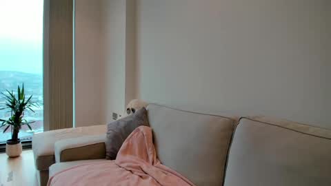 Gigi Chu  online show from February 10, 2:37 pm