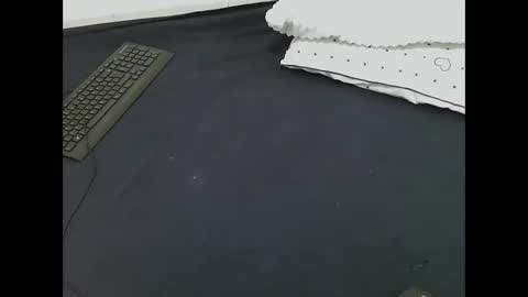 nia_0 online show from March 16, 8:51 am