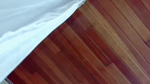 Snapshot of nicky_oli chatting on March 2, 3:20 pm nicky_oli online show from March 2, 3:20 pm