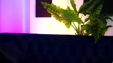 Sarah online show from December 4, 7:01 pm