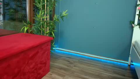 Nikky online show from December 17, 10:14 pm