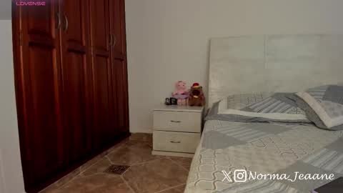 Norma Jeaane online show from February 3, 4:23 pm