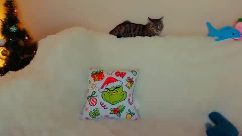 hi glad to chat online show from December 22, 11:41 pm