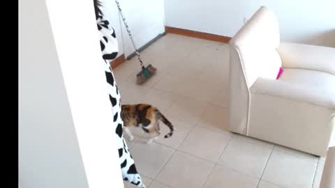 novaperotti online show from September 14, 2:04 pm