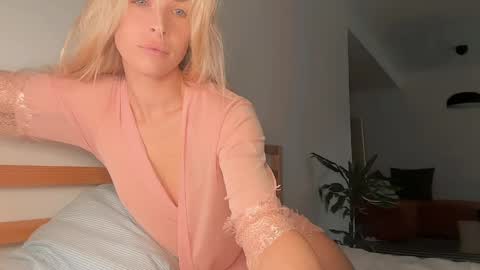 ocicatcat online show from April 15, 10:16 am