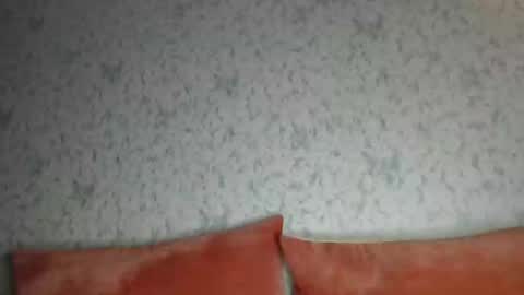 Snapshot of only_ubutterfly chatting on December 10, 9:33 pm Amalia online show from December 10, 9:33 pm