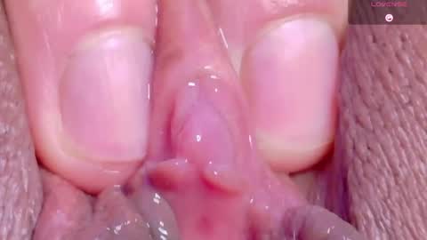 orchidekitty online show from May 15, 11:29 pm
