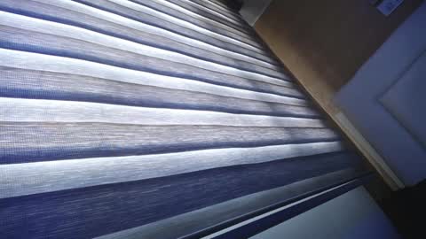 Palmer online show from January 11, 12:40 pm