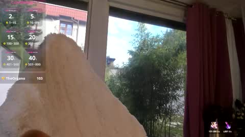 Patricia online show from October 10, 6:40 am