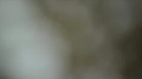 paulasmithph online show from November 17, 6:41 pm