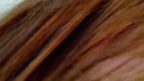 Penelope Laurent online show from September 19, 3:55 pm