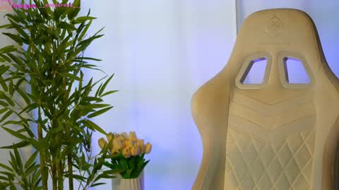 Dee online show from January 28, 9:08 am