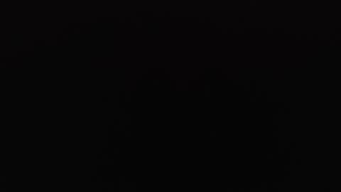 lecia online show from October 31, 8:40 am