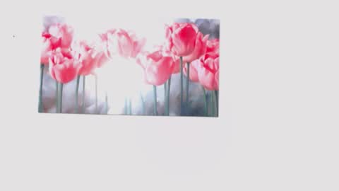 pinky_f00x online show from March 28, 7:57 pm