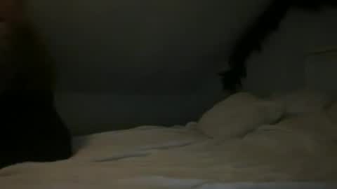 Snapshot of pirdybirdyxo chatting on October 4, 11:53 pm pirdybirdyxo online show from October 4, 11:53 pm