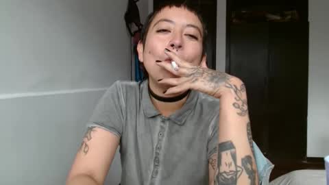 Poly online show from February 4, 5:55 pm