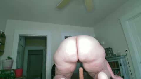 quartrwhorse online show from September 14, 9:34 pm