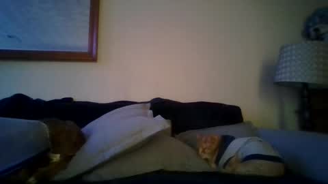 queenbee6269 online show from February 6, 5:51 pm