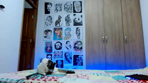 Rachel online show from October 21, 1:53 am