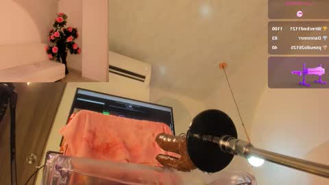 Raven online show from January 15, 6:52 am