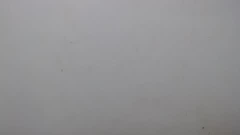 Ray  online show from February 1, 2:16 am