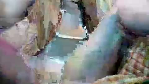 redrider555 online show from April 12, 2:14 am