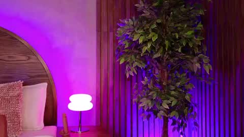 Renata online show from June 3, 10:38 am