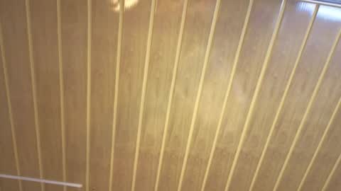 renaxi_smith online show from February 22, 7:37 pm